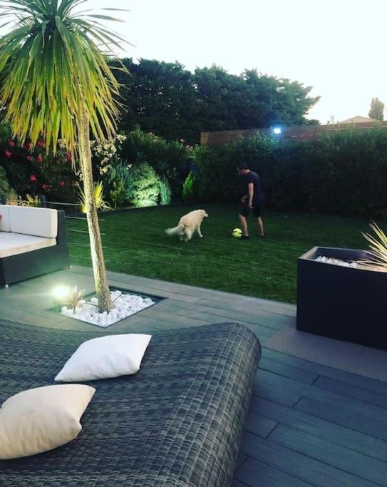 Willa Maison De Vacances Contemporaine Avec Piscine Vedène Zewnętrze zdjęcie